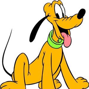 Meet your Posher, Max